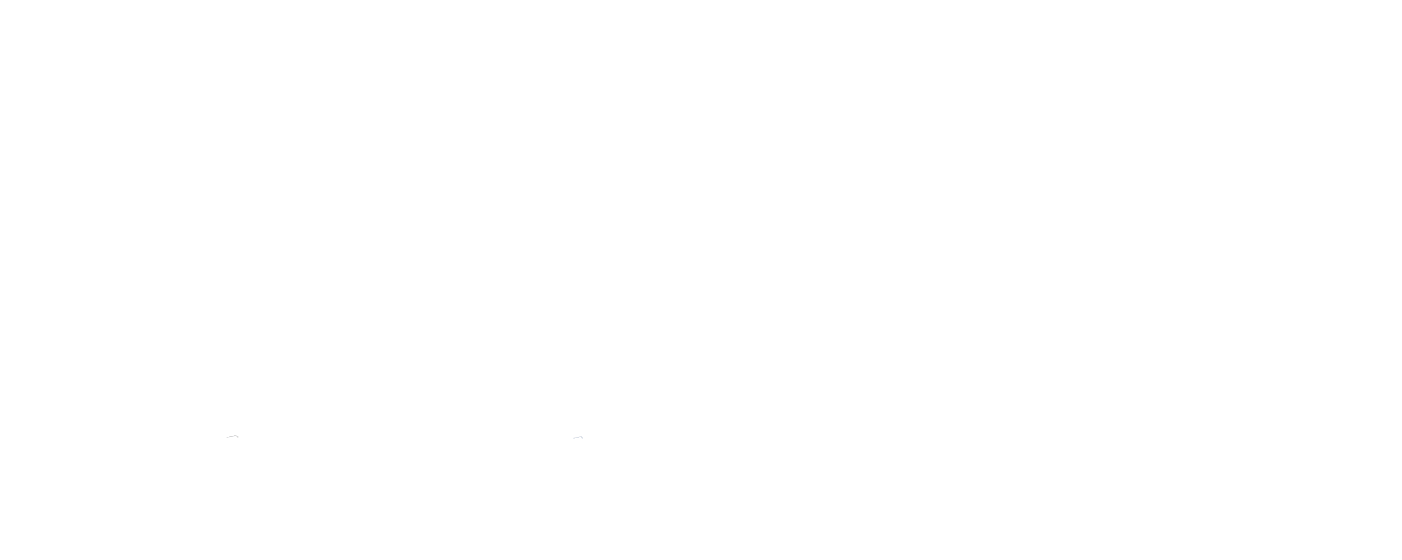 VNS Public Wi-Fi Logo